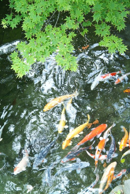 Hotel Kaikake Onsen Yuzawa  Zewnętrze zdjęcie